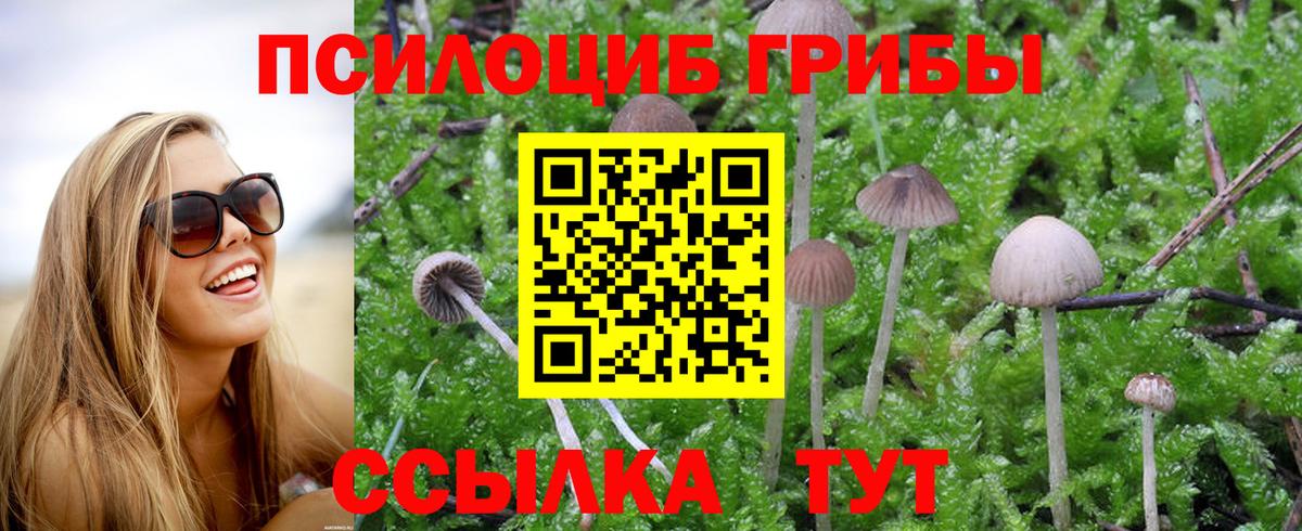 Ступино  Галлюциногенные грибы мухоморы  Вход с VPN 
